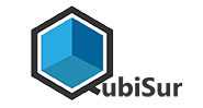 QubiSur Logo 22
